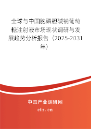 全球與中國胞磷膽堿鈉葡萄糖注射液市場現狀調研與發展趨勢分析報告（2025-2031年）