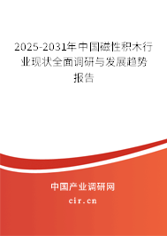 2025-2031年中國磁性積木行業現狀全面調研與發展趨勢報告