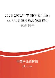 2025-2031年中國存儲網絡行業現狀調研分析及發展趨勢預測報告