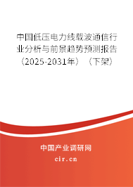 中國低壓電力線載波通信行業分析與前景趨勢預測報告（2025-2031年）（下架）