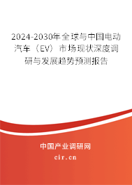 2024-2030年全球與中國電動汽車（EV）市場現狀深度調研與發展趨勢預測報告