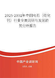 2025-2031年中國電石（碳化鈣）行業全面調研與發展趨勢分析報告