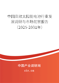 中國(guó)高效太陽能電池行業(yè)發(fā)展調(diào)研與市場(chǎng)前景報(bào)告（2025-2031年）