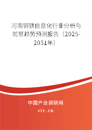 河南鋼鐵信息化行業分析與前景趨勢預測報告（2025-2031年）