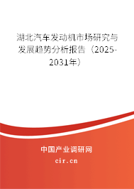 湖北汽車發動機市場研究與發展趨勢分析報告（2025-2031年）