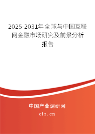 2025-2031年全球與中國互聯(lián)網(wǎng)金融市場研究及前景分析報(bào)告