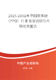 2025-2031年中國聚苯醚（PPO）行業(yè)發(fā)展調(diào)研與市場前景報告