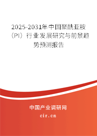 2025-2031年中國聚酰亞胺（PI）行業發展研究與前景趨勢預測報告