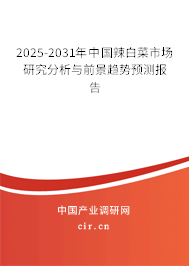 2024-2030年中國辣白菜市場研究分析與前景趨勢預測報告