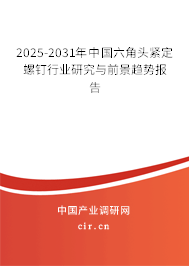 2025-2031年中國六角頭緊定螺釘行業研究與前景趨勢報告