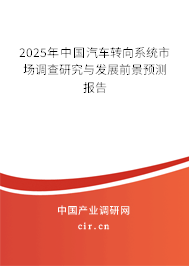 2025年中國汽車轉向系統市場調查研究與發(fā)展前景預測報告