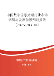 中國數(shù)字信號處理行業(yè)市場調(diào)研與發(fā)展前景預(yù)測報(bào)告（2025-2031年）