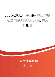 2025-2031年中國數字壓力變送器發展現狀與行業前景分析報告