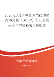 2025-2031年中國雙向拉伸聚丙烯薄膜（BOPP）行業發展研究與前景趨勢分析報告
