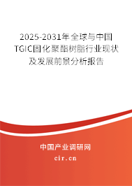 2025-2031年全球與中國(guó)TGIC固化聚酯樹脂行業(yè)現(xiàn)狀及發(fā)展前景分析報(bào)告