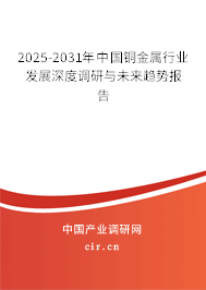 2025-2031年中國銅金屬行業發展深度調研與未來趨勢報告