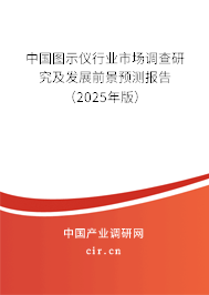 中國圖示儀行業市場調查研究及發展前景預測報告（2025年版）
