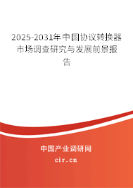 2025-2031年中國協議轉換器市場調查研究與發展前景報告