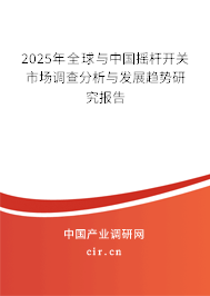 2025年全球與中國搖桿開關市場調查分析與發展趨勢研究報告
