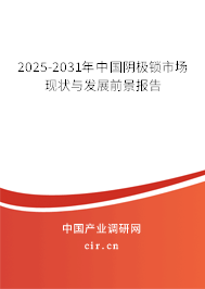 2025-2031年中國陰極鎖市場現狀與發展前景報告
