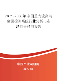 2025-2031年中國重力流高清金屬檢測系統行業分析與市場前景預測報告