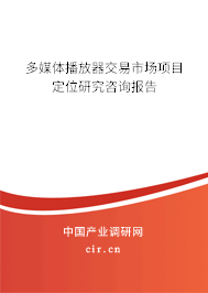 多媒體播放器交易市場項目定位研究咨詢報告
