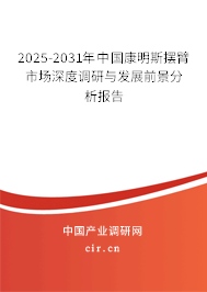 2025-2031年中國康明斯擺臂市場深度調研與發展前景分析報告