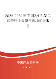 2025-2031年中國2,4-吡啶二羧酸行業調研與市場前景報告