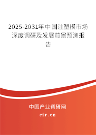 2025-2031年中國注塑模市場深度調研及發展前景預測報告