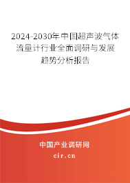 2024-2030年中國超聲波氣體流量計行業全面調研與發展趨勢分析報告