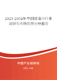 2025-2031年中國搓澡巾行業調研與市場前景分析報告