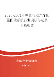 2025-2031年中國電動汽車能量回收系統行業調研與前景分析報告