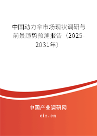 中國動力傘市場現狀調研與前景趨勢預測報告（2025-2031年）
