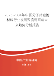 2024-2030年中國分子篩吸附材料行業發展深度調研與未來趨勢分析報告