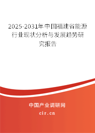 2025-2031年中國福建省能源行業現狀分析與發展趨勢研究報告