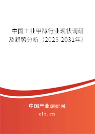 中國工業甲醇行業現狀調研及趨勢分析（2025-2031年）