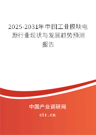 2024-2030年中國工業模塊電源行業現狀與發展趨勢預測報告