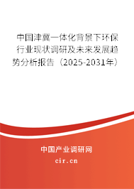 中國津冀一體化背景下環保行業現狀調研及未來發展趨勢分析報告（2025-2031年）