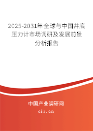 2025-2031年全球與中國井底壓力計市場調研及發展前景分析報告