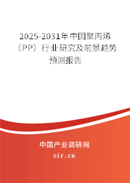 2025-2031年中國聚丙烯（PP）行業研究及前景趨勢預測報告