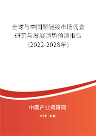 全球與中國(guó)聚醚胺市場(chǎng)調(diào)查研究與發(fā)展趨勢(shì)預(yù)測(cè)報(bào)告（2022-2028年）