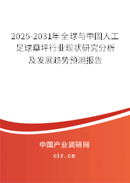 2024-2030年全球與中國人工足球草坪行業(yè)現(xiàn)狀研究分析及發(fā)展趨勢預(yù)測報(bào)告