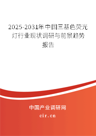 2025-2031年中國三基色熒光燈行業現狀調研與前景趨勢報告
