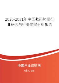 2025-2031年中國數碼烤帽行業研究與行業前景分析報告