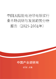 中國太陽能電池導電銀漿行業市場調研與發展趨勢分析報告（2025-2031年）