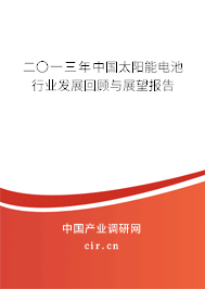 二〇一三年中國太陽能電池行業發展回顧與展望報告