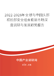 2022-2028年全球與中國頭部和臉部安全組合套裝市場深度調研與發展趨勢報告