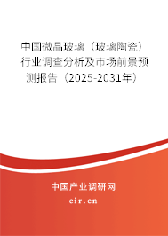 中國微晶玻璃（玻璃陶瓷）行業調查分析及市場前景預測報告（2025-2031年）