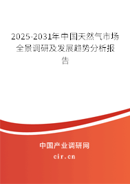 2025-2031年中國天然氣市場全景調研及發展趨勢分析報告