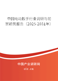 中國電動扳手行業調研與前景趨勢報告（2025-2031年）